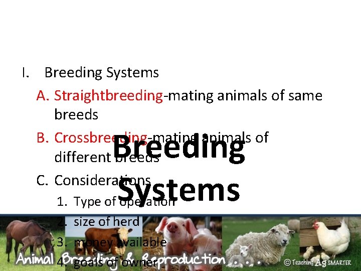 I. Breeding Systems A. Straightbreeding-mating animals of same breeds B. Crossbreeding-mating animals of different