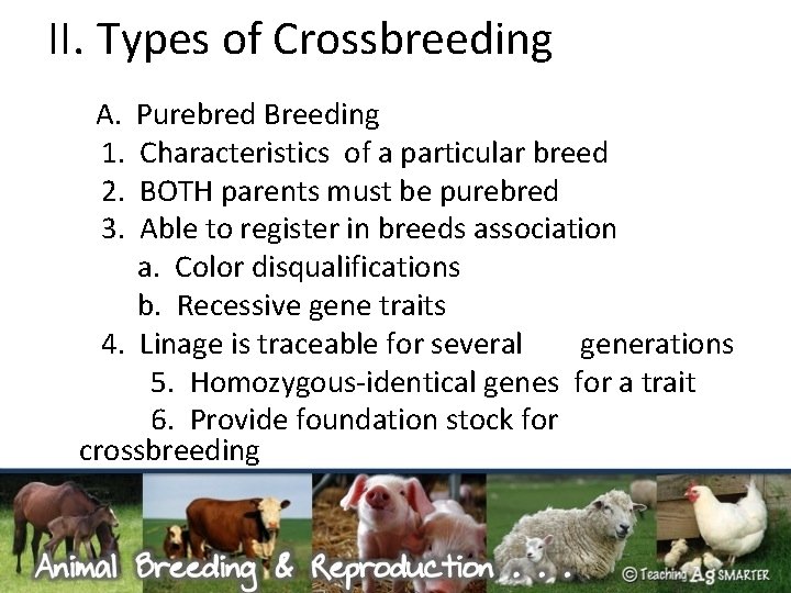II. Types of Crossbreeding A. 1. 2. 3. Purebred Breeding Characteristics of a particular