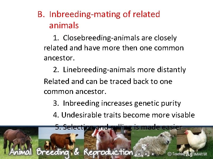 B. Inbreeding-mating of related animals 1. Closebreeding-animals are closely related and have more then