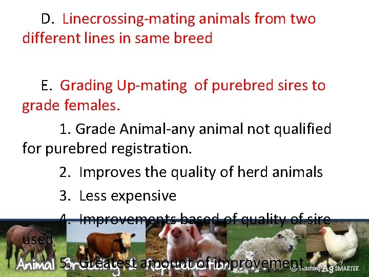 D. Linecrossing-mating animals from two different lines in same breed E. Grading Up-mating of