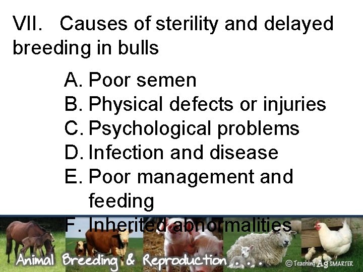 VII. Causes of sterility and delayed breeding in bulls A. Poor semen B. Physical
