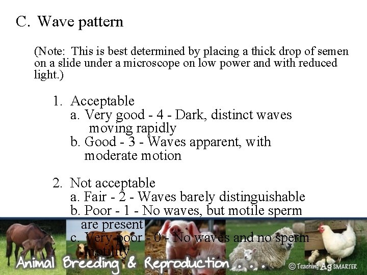 C. Wave pattern (Note: This is best determined by placing a thick drop of