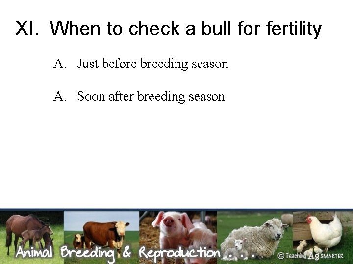 XI. When to check a bull for fertility A. Just before breeding season A.