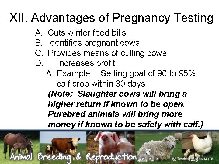 XII. Advantages of Pregnancy Testing A. Cuts winter feed bills B. Identifies pregnant cows