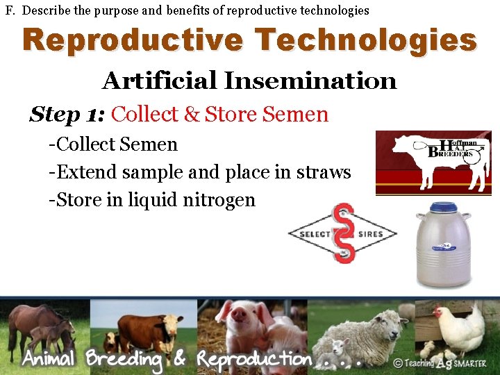 F. Describe the purpose and benefits of reproductive technologies Reproductive Technologies Artificial Insemination Step