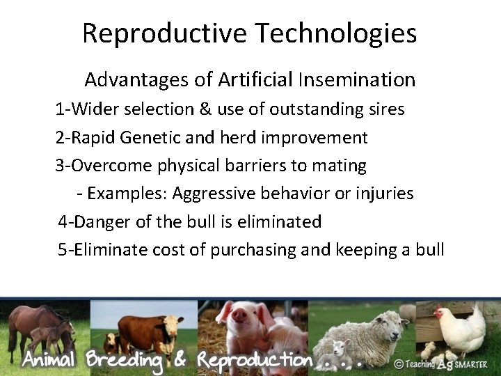 Reproductive Technologies Advantages of Artificial Insemination 1 -Wider selection & use of outstanding sires
