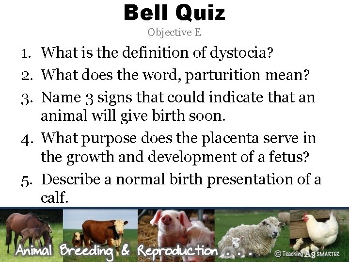Bell Quiz Objective E 1. What is the definition of dystocia? 2. What does