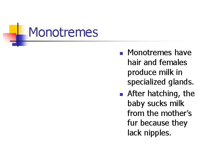 Monotremes n n Monotremes have hair and females produce milk in specialized glands. After