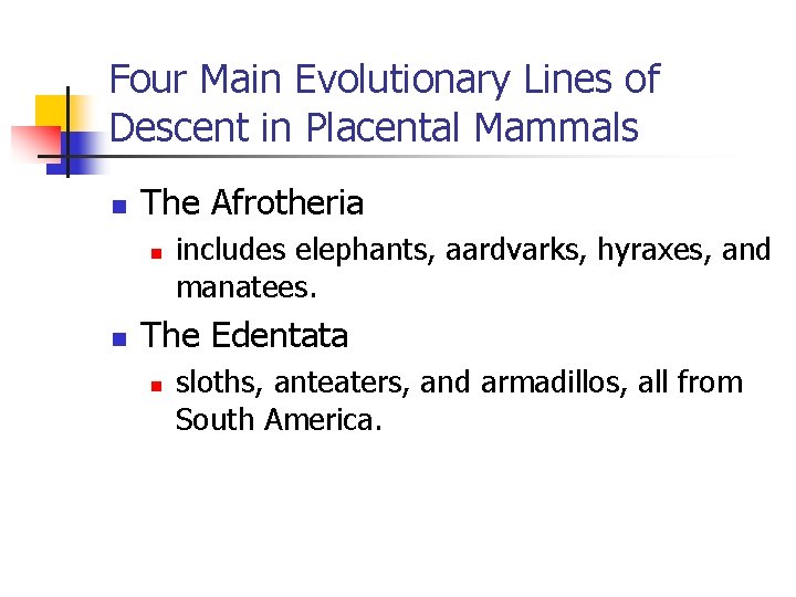 Four Main Evolutionary Lines of Descent in Placental Mammals n The Afrotheria n n