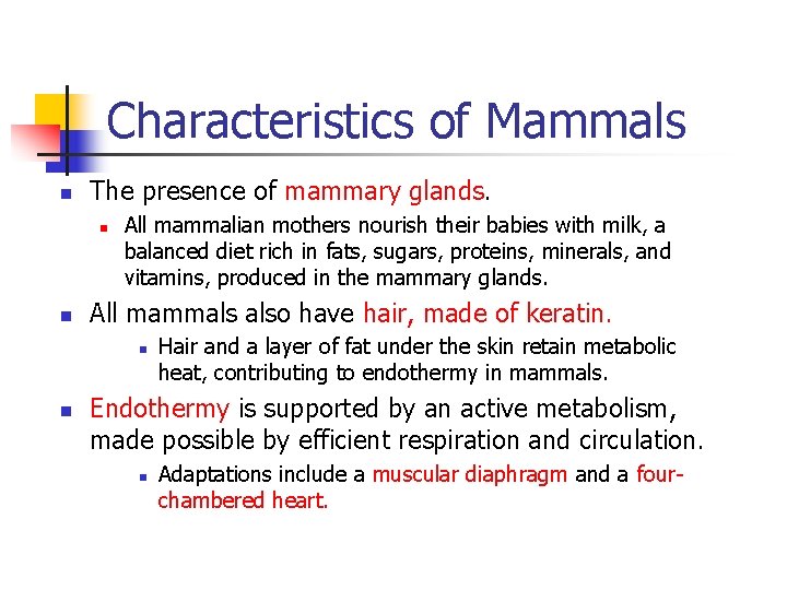 Characteristics of Mammals n The presence of mammary glands. n n All mammalian mothers