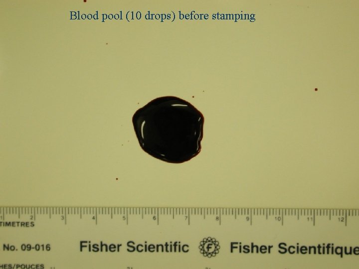 Blood pool (10 drops) before stamping Stamp 1 