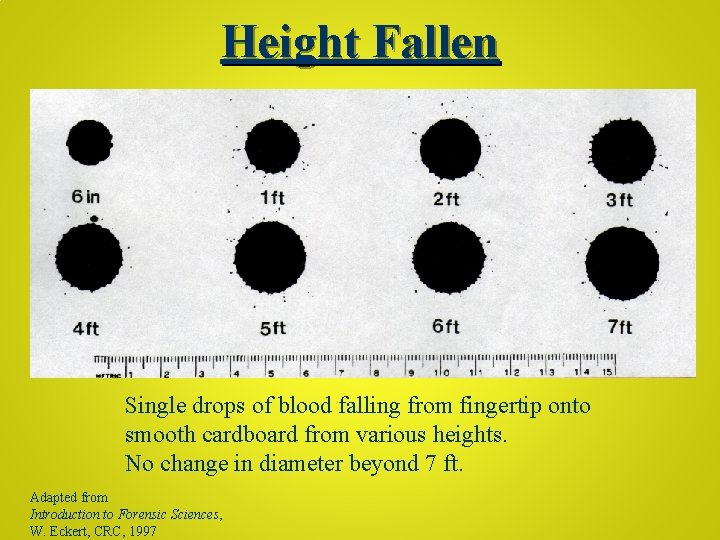 Height Fallen Single drops of blood falling from fingertip onto smooth cardboard from various
