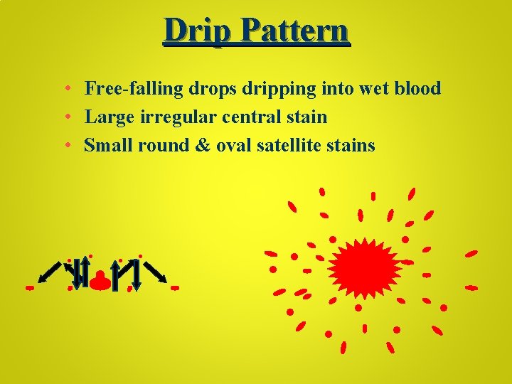 Drip Pattern • Free-falling drops dripping into wet blood • Large irregular central stain