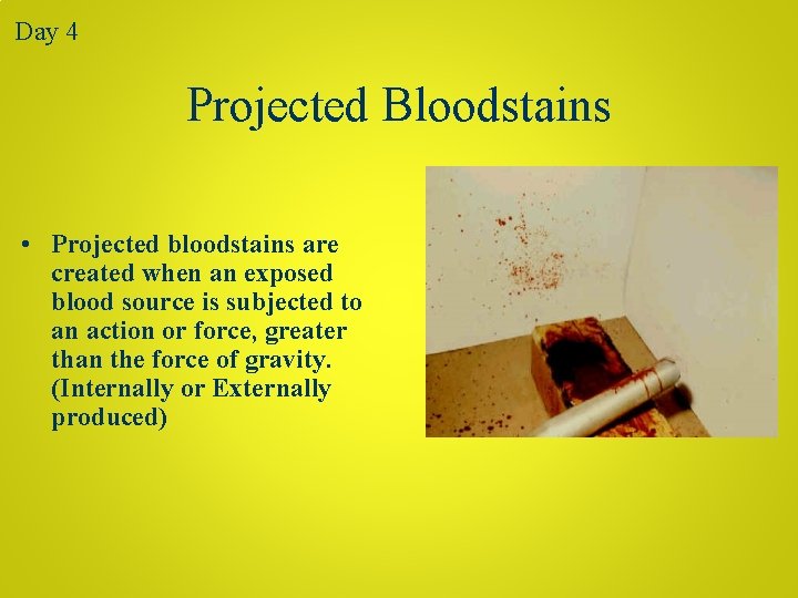 Day 4 Projected Bloodstains • Projected bloodstains are created when an exposed blood source