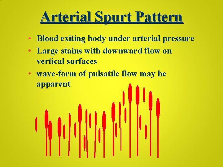 Arterial Spurt Pattern • Blood exiting body under arterial pressure • Large stains with
