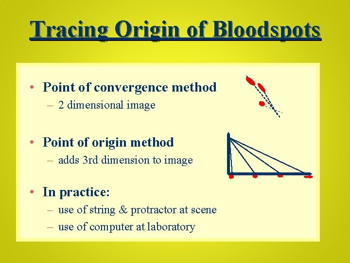 Tracing Origin of Bloodspots • Point of convergence method – 2 dimensional image •