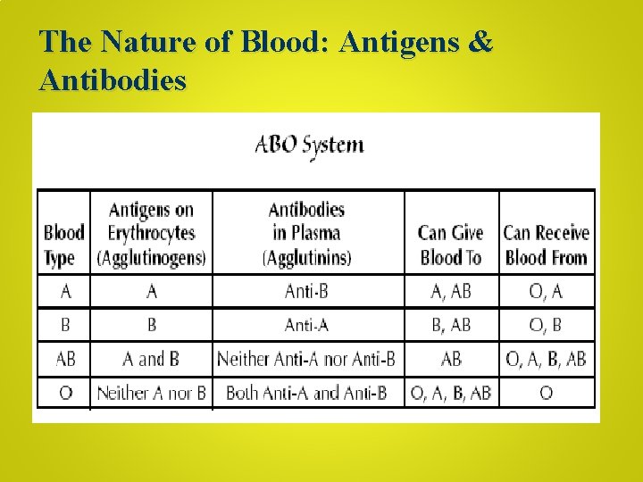 The Nature of Blood: Antigens & Antibodies 