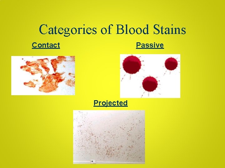 Categories of Blood Stains Contact Passive Projected 