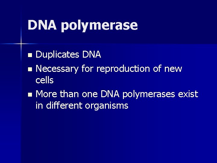 DNA polymerase Duplicates DNA n Necessary for reproduction of new cells n More than