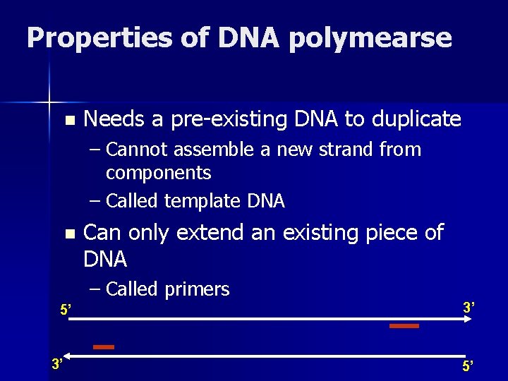 Properties of DNA polymearse n Needs a pre-existing DNA to duplicate – Cannot assemble