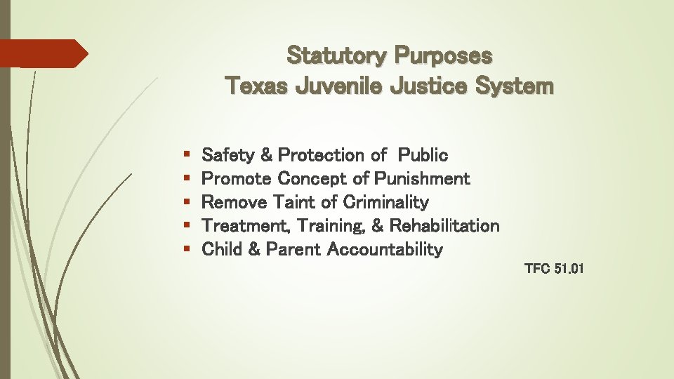 Statutory Purposes Texas Juvenile Justice System § § § Safety & Protection of Public