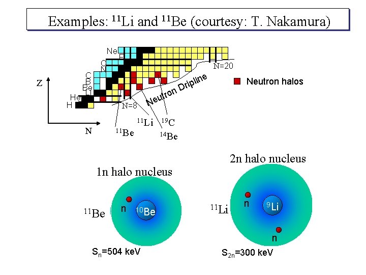 Examples: 11 Li and 11 Be (courtesy: T. Nakamura) Z He H C B