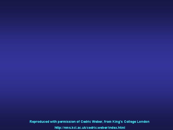 Reproduced with permission of Cedric Weber, from King’s College London http: //nms. kcl. ac.