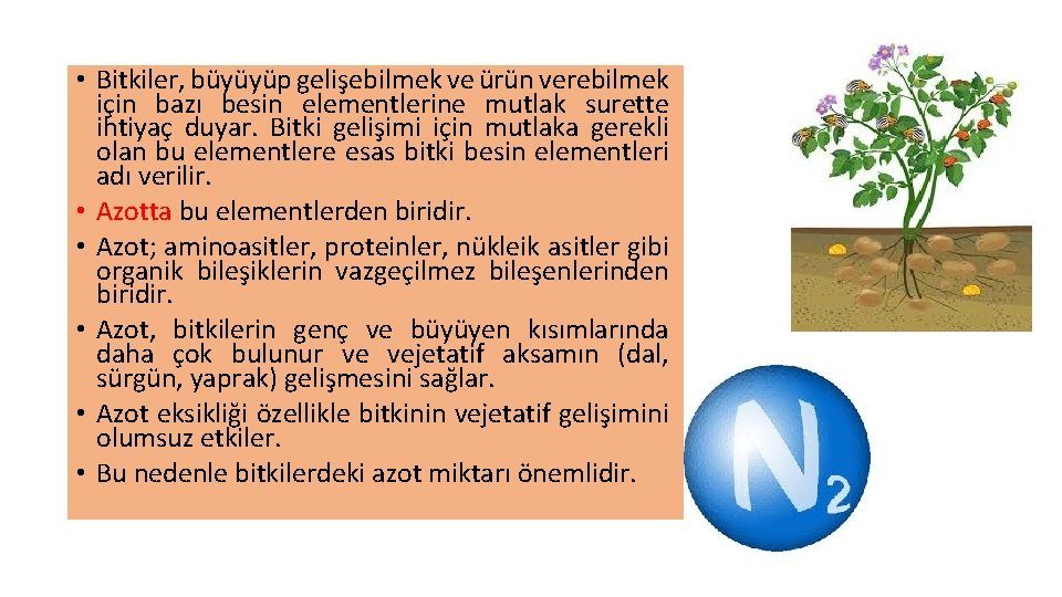  • Bitkiler, büyüyüp gelişebilmek ve ürün verebilmek için bazı besin elementlerine mutlak surette