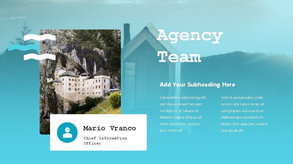 Agency Team Add Your Subheading Here Mario Vranco Chief Information Officer Consectetur adipiscing elit,