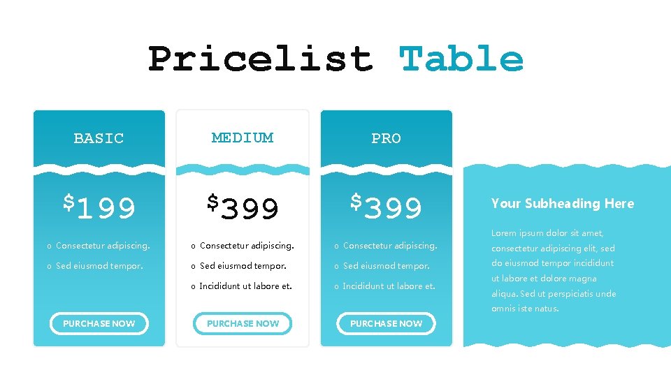 Pricelist Table BASIC MEDIUM PRO $199 $399 o Consectetur adipiscing. consectetur adipiscing elit, sed