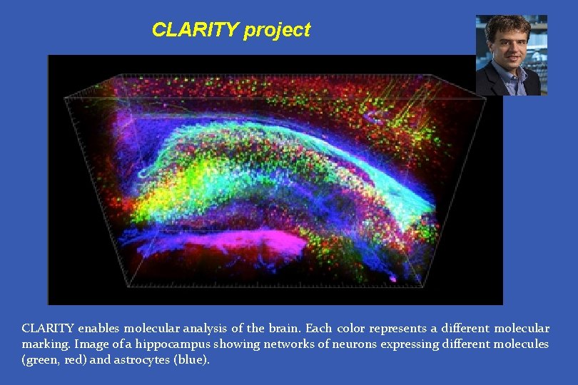 CLARITY project CLARITY enables molecular analysis of the brain. Each color represents a different