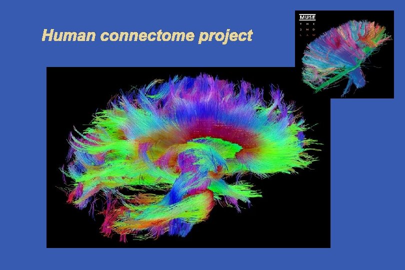 Human connectome project 