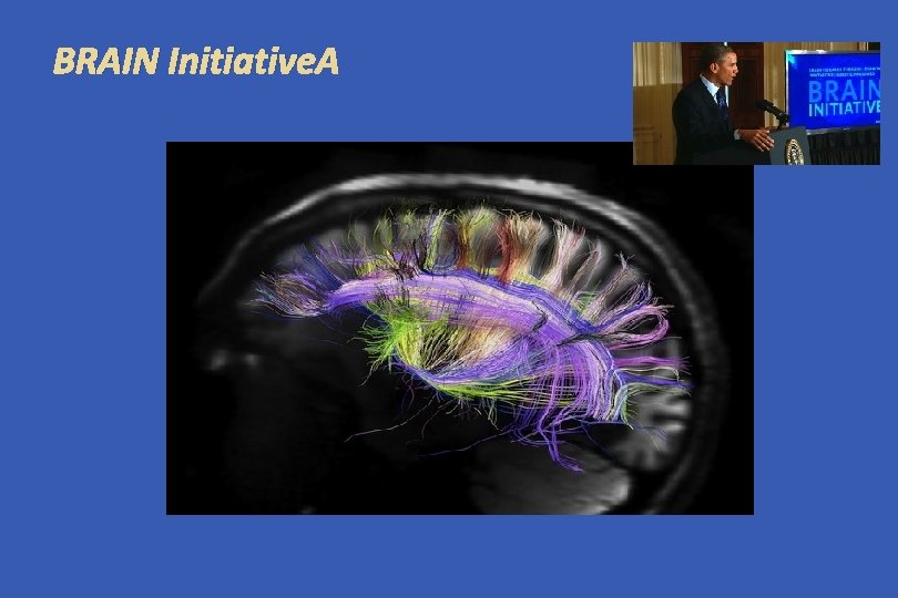 BRAIN Initiative 