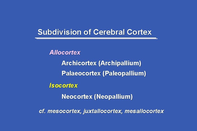 Subdivision of Cerebral Cortex Allocortex Archicortex (Archipallium) Palaeocortex (Paleopallium) Isocortex Neocortex (Neopallium) cf. mesocortex,