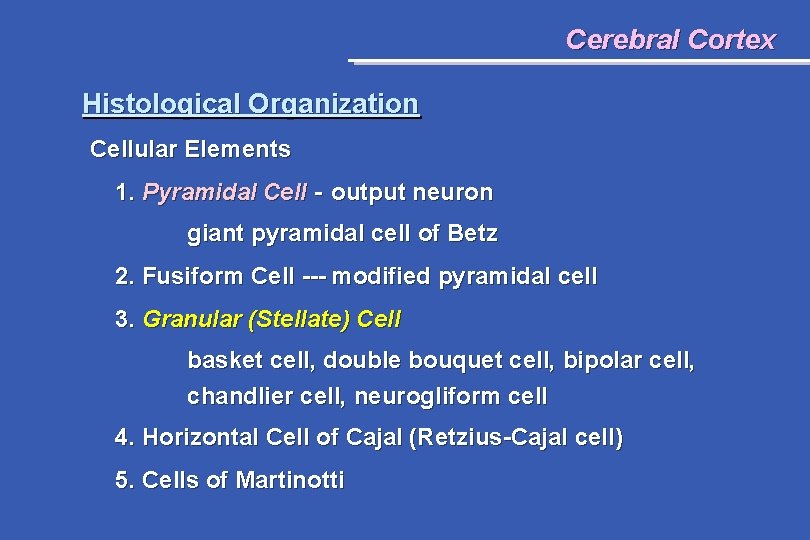 Cerebral Cortex Histological Organization Cellular Elements 1. Pyramidal Cell - output neuron giant pyramidal