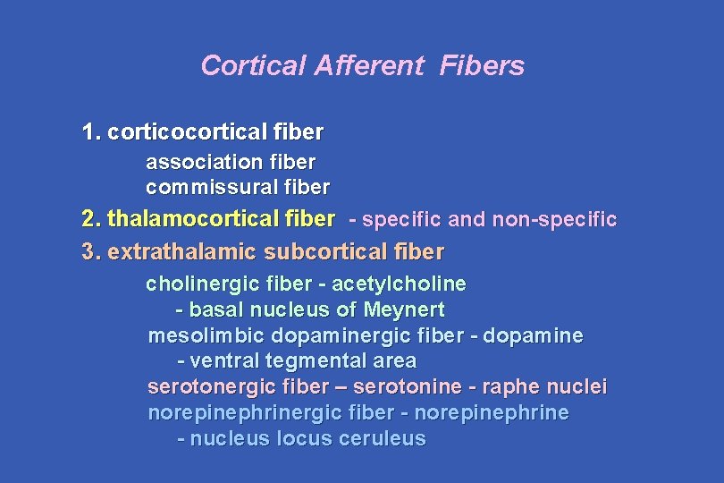 Cortical Afferent Fibers 1. corticocortical fiber association fiber commissural fiber 2. thalamocortical fiber -