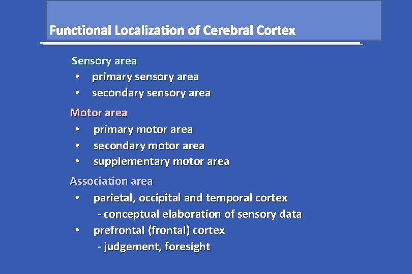Functional Localization of Cerebral Cortex Sensory area • primary sensory area • secondary sensory