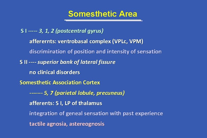Somesthetic Area S I ----- 3, 1, 2 (postcentral gyrus) afferernts: ventrobasal complex (VPLc,