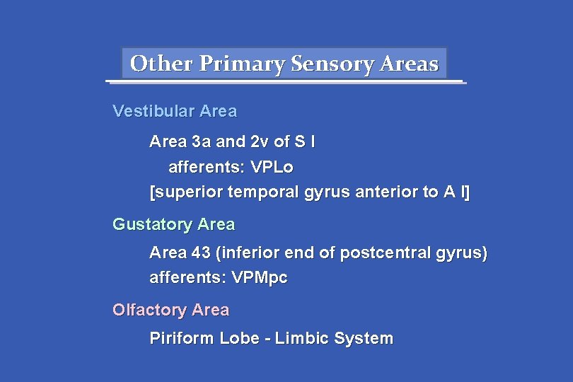 Other Primary Sensory Areas Vestibular Area 3 a and 2 v of S I