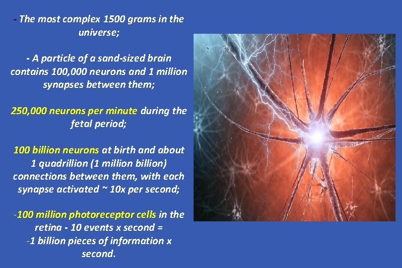 - The most complex 1500 grams in the universe; - A particle of a