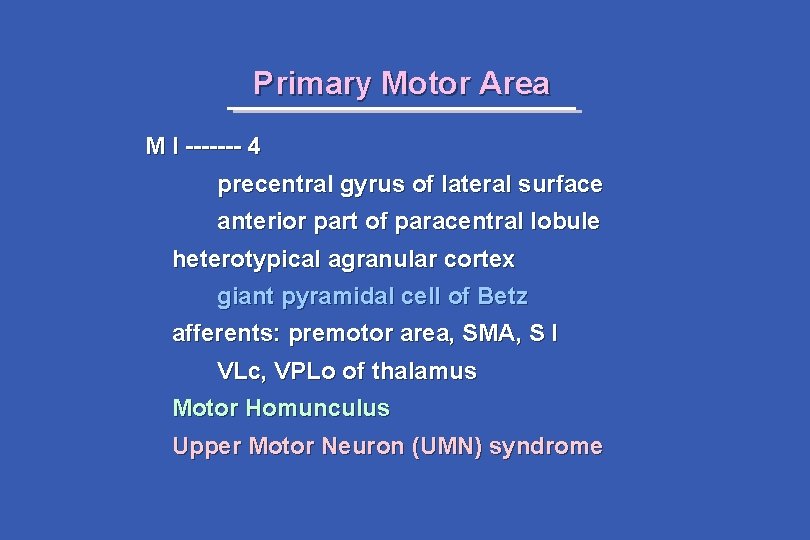 Primary Motor Area M I ------- 4 precentral gyrus of lateral surface anterior part