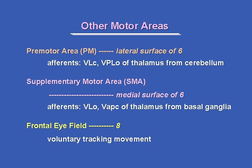 Other Motor Areas Premotor Area (PM) ------ lateral surface of 6 afferents: VLc, VPLo