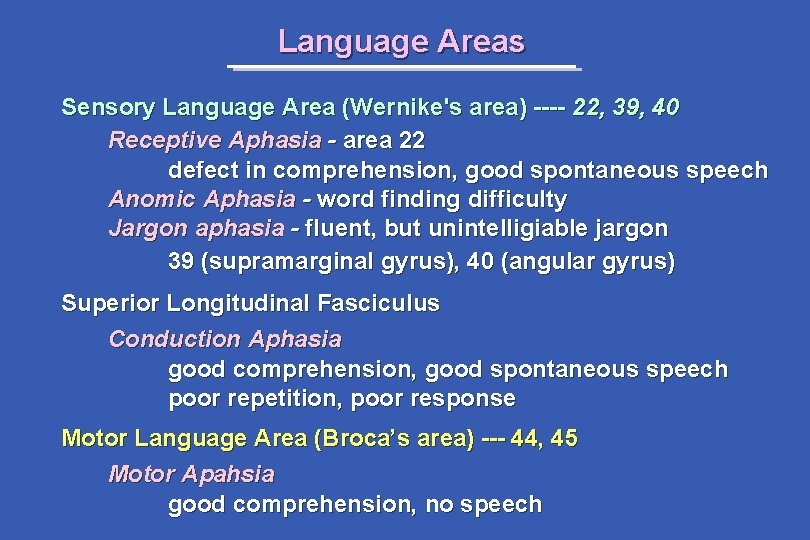 Language Areas Sensory Language Area (Wernike's area) ---- 22, 39, 40 Receptive Aphasia -
