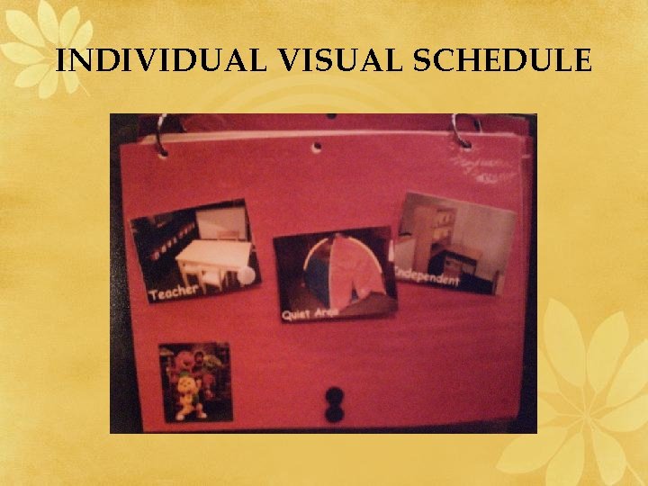INDIVIDUAL VISUAL SCHEDULE INDIVIDUAL VISUAL SCHEDULE
