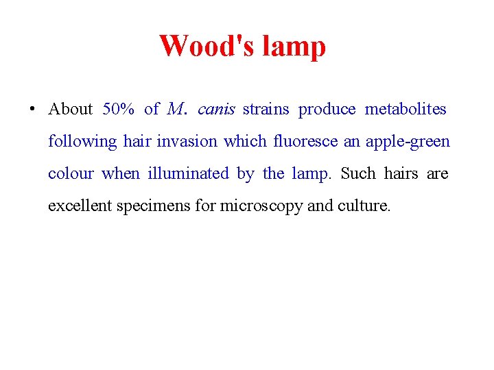 Wood's lamp • About 50% of M. canis strains produce metabolites following hair invasion