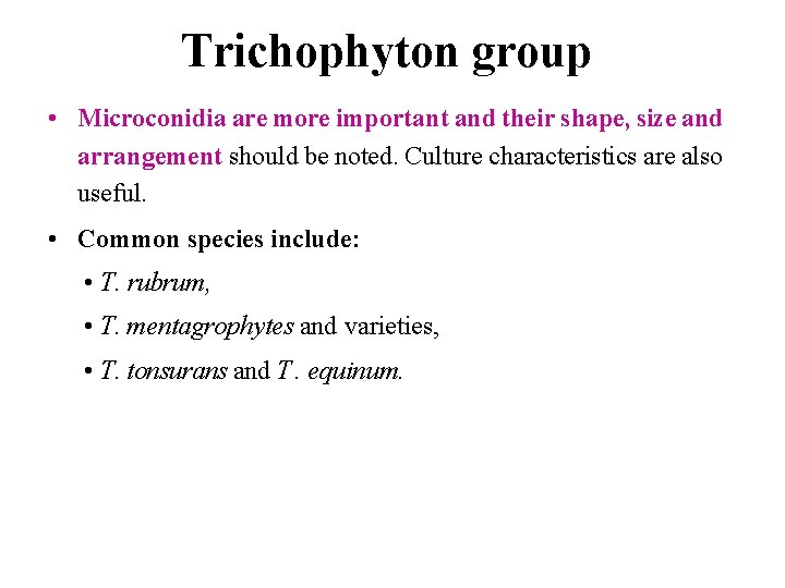 Trichophyton group • Microconidia are more important and their shape, size and arrangement should