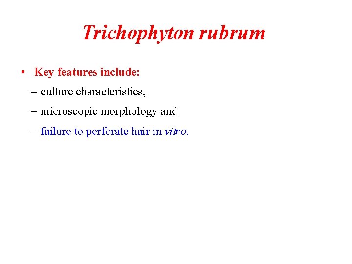 Trichophyton rubrum • Key features include: – culture characteristics, – microscopic morphology and –