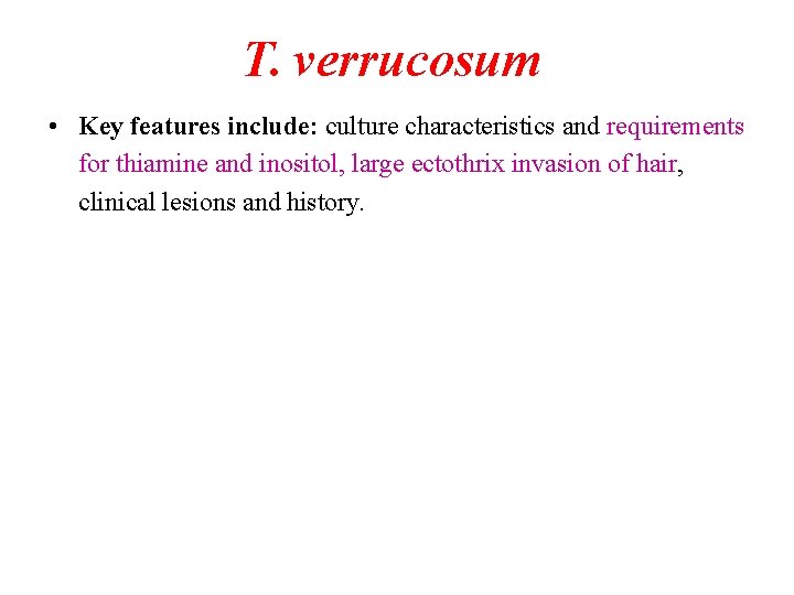 T. verrucosum • Key features include: culture characteristics and requirements for thiamine and inositol,