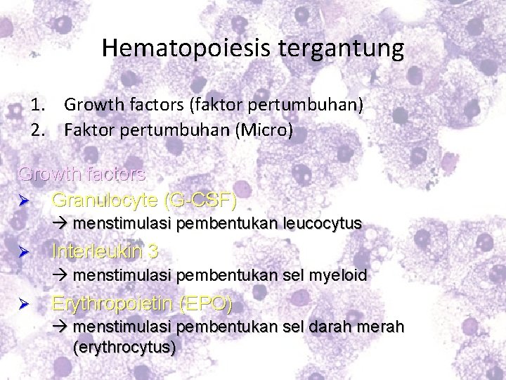 Hematopoiesis tergantung 1. Growth factors (faktor pertumbuhan) 2. Faktor pertumbuhan (Micro) Growth factors Ø