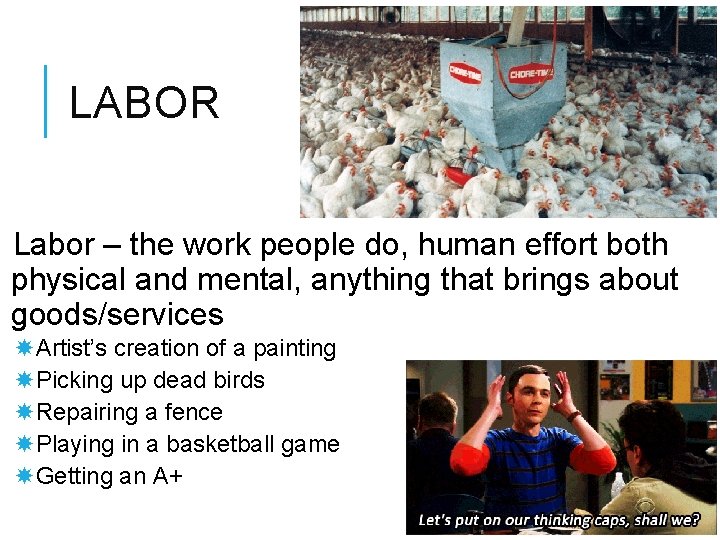 LABOR Labor – the work people do, human effort both physical and mental, anything